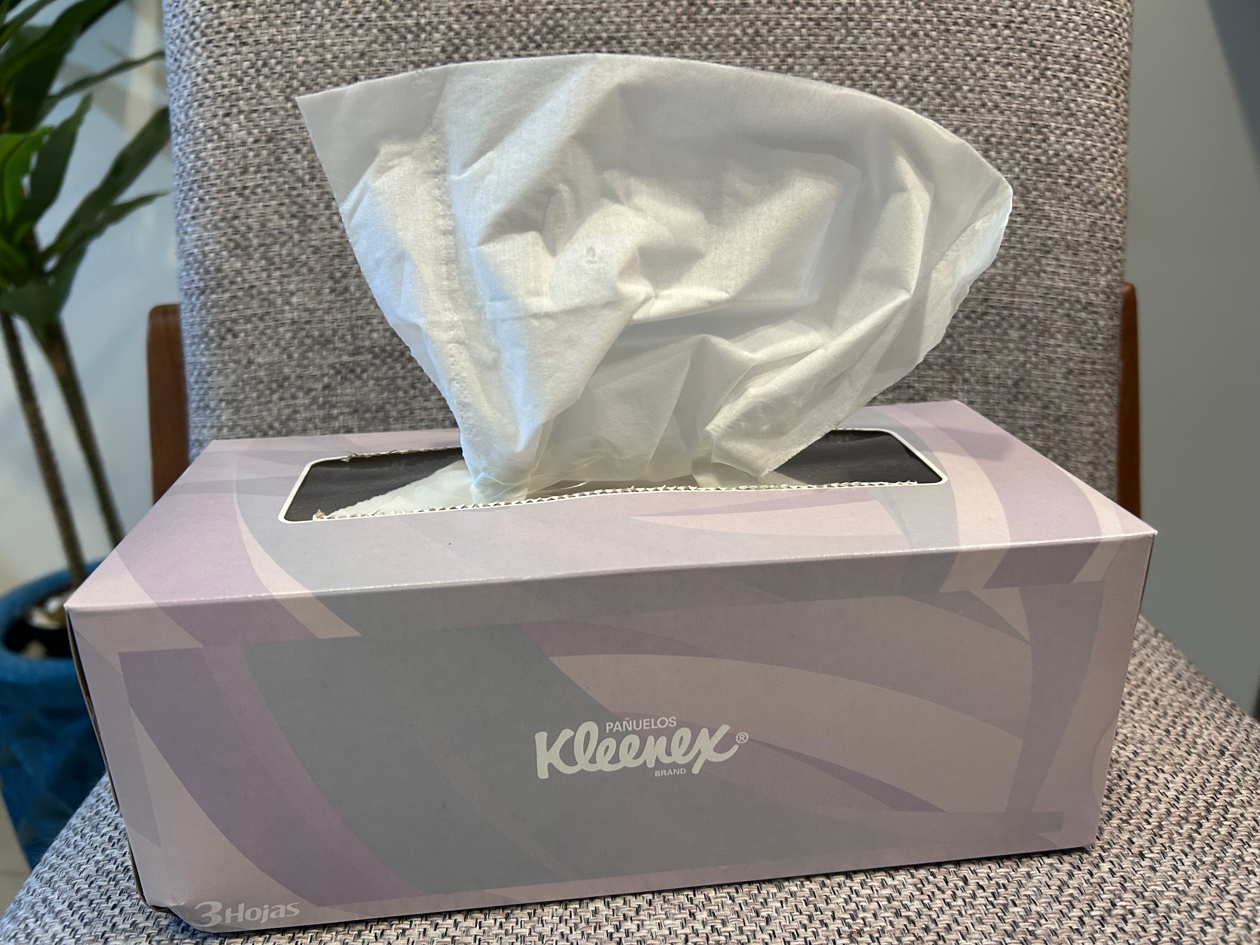 Excellent Texture for Everyday Use: Kleenex 3-Ply Tissues, 8 Boxes